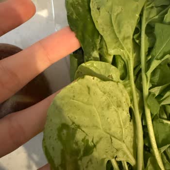 Yemek Sepeti'nden Gelen Kırık Yumurtalar Ve Çürük Sebzeler İçin İade Sorunu