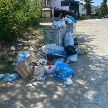 Samsun Büyükşehir Belediyesi Çevre Temizlik Şikayeti