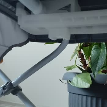 Pregobaby   Teddy Yürüteç 6 Aylık Bebeğe Uygun Değil, Ayaklar Yere Değmiyor