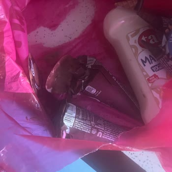 Erimiş Dondurma Ve Kurye İlgisizliğiyle Yaşanan Mağduriyet