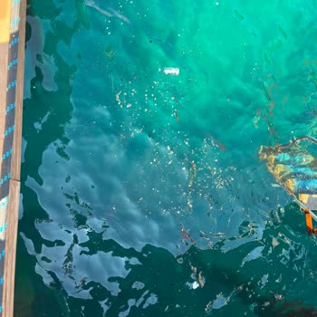 Duja Otel Bodrumda Tatil Hayal Kırıklığı Ve İlgisizlik