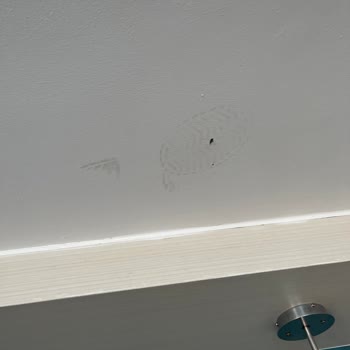 Duja Otel Bodrumda Tatil Hayal Kırıklığı Ve İlgisizlik