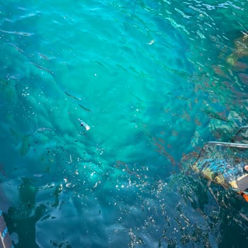 Duja Otel Bodrumda Tatil Hayal Kırıklığı Ve İlgisizlik