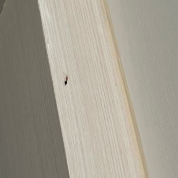 Duja Otel Bodrumda Tatil Hayal Kırıklığı Ve İlgisizlik