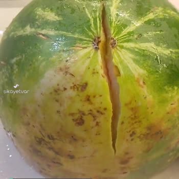 Migros'tan Aldığım Karpuz Patlak Geldi