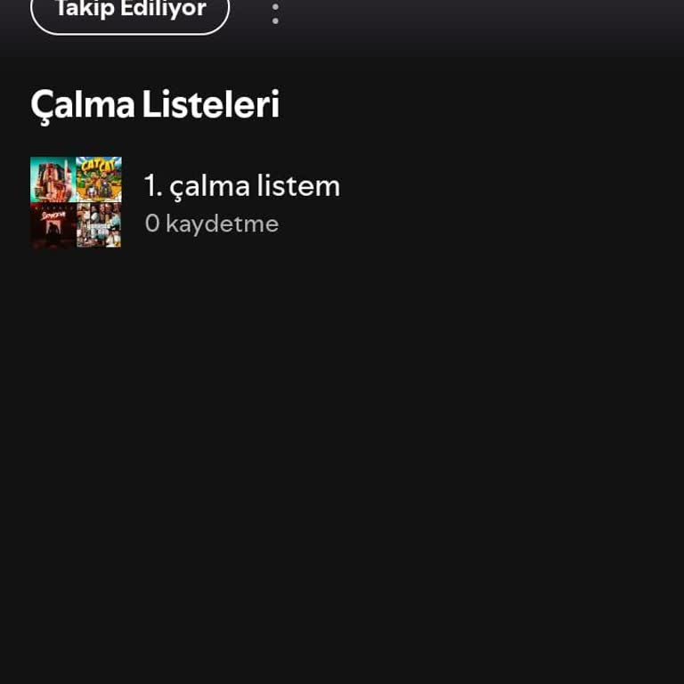 Giriş Sorunu Ve Hesap Silme Talebi