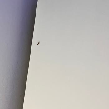 Kusurlu Ürün Ve İlgisiz Müşteri Hizmeti: Selis’ten Hayal Kırıklığı