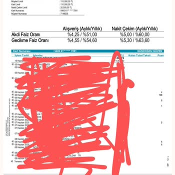 Aynı Ayda İki Kez Kredi Kartı Ödemesi Ve Haksız Faiz Uygulaması