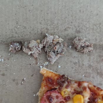 Siparişimdeki Kavurma Sert Ve Yağlıydı, Çocuğum Tüketemedi