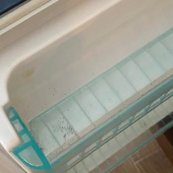 Kıbrıs Nuhun Gemisi Otelinde Hijyen Sorunları Ve Jolly Tur'un İlgisizliği