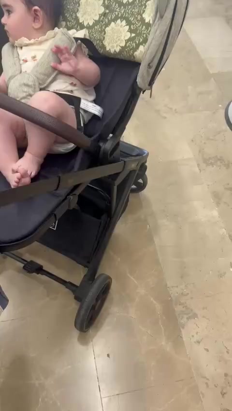 I Received My Stroller Damaged and Incomplete After Pegasus Flight PT6YDJ video cover