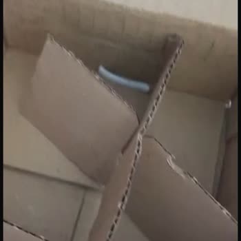 Kırık Ürünler Ve Cevapsız Müşteri Hizmetleri