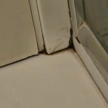 Side Win Otel'de Hijyen Ve Temizlik Felaketi Yaşadık