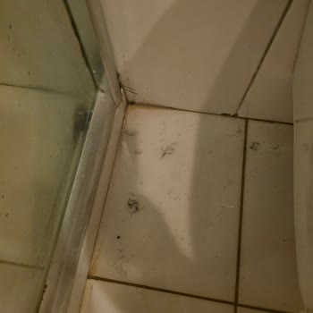 Side Win Otel'de Hijyen Ve Temizlik Felaketi Yaşadık