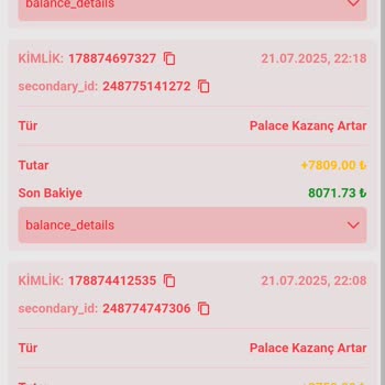 Vaycasino Promo Kodla Kazanılan Bakiyenin Aniden Sıfırlanması Ve İlgisiz Müşteri Hizmetleri