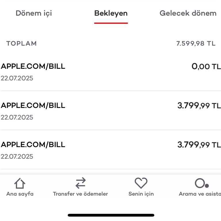 Apple.com Üzerinden İzinsiz Kredi Kartı Çekimi ve Ücret İadesi Talebi