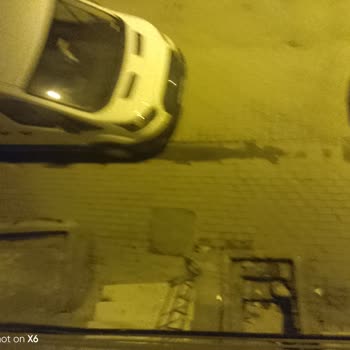 Küçükçekmece İstasyon Mahallesinde Temizlik Ve İlaçlama Sorunu Büyüyor