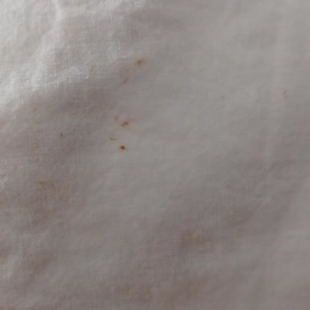 Pas Sorunu Çözülemiyor, Servis Ve Merkez Tutarsız