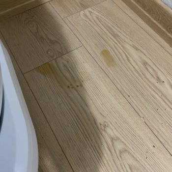 Kiwipets Otomatik Kedi Tuvaleti Sürekli Arızalı Ve Sorunlar Çözülemiyor