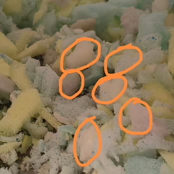 Yastığın İçeriği Beklentimi Karşılamadı, Hayal Kırıklığı Yaşadım