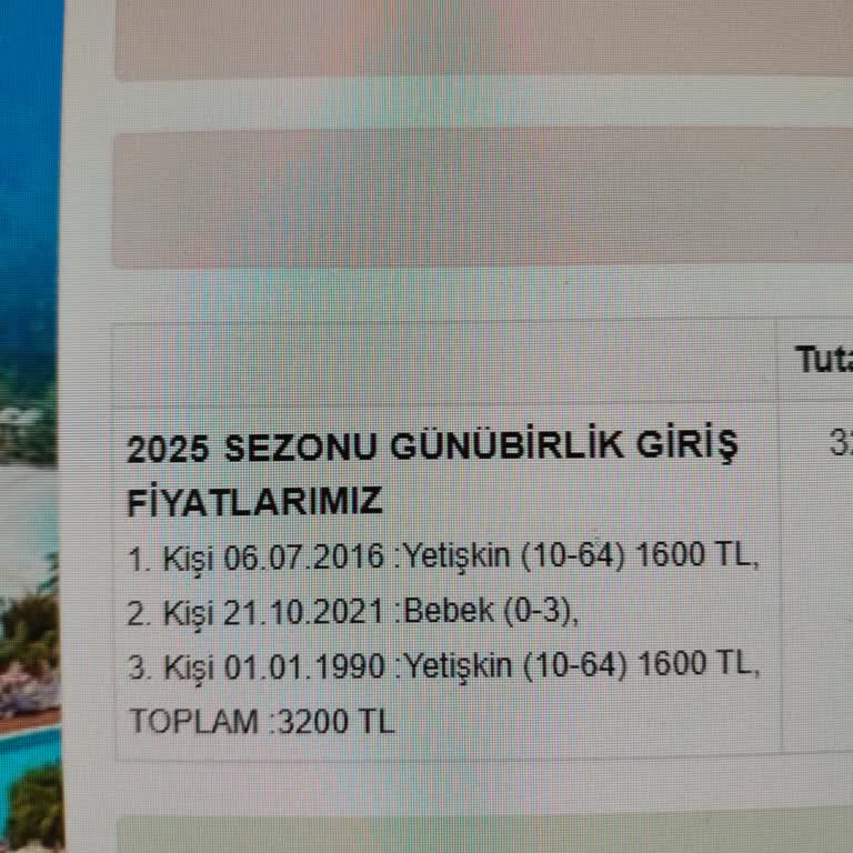 Aqua Fantasy Online Bilet Sisteminde Yaş Hesaplama Sorunu Ve İlgisizlik