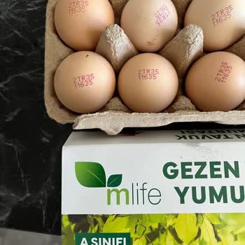Migros Gezen Tavuk Yumurtası Görseliyle Yanıltıyor