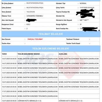 Ağır Ürünü Teslim Etmeyen Kargo Şubesiyle Yaşanan Teslimat Oyunu