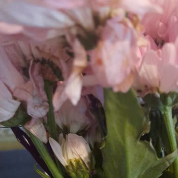 Çiçek Sepetinden Gelen Çiçek Hayal Kırıklığı Yarattı