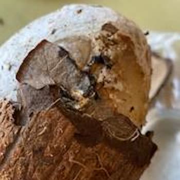 Bozuk Ürünler Ve Zorlaştırılan İade Süreci Nedeniyle Mağduriyet