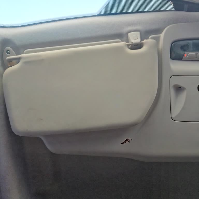 Reeder Yeni Aldığım Telefonda Kamera Sorunu Ve Yetersiz Çözüm Teklifi