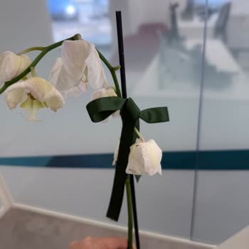 Gönderilen Çiçeklerin Bozuk Teslim Edilmesi Ve İade Sorunu