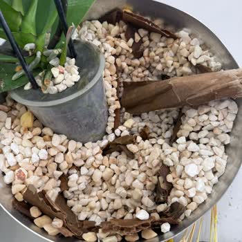 Gönderilen Çiçeklerin Bozuk Teslim Edilmesi Ve İade Sorunu