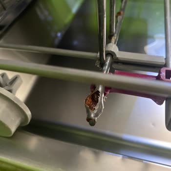 Arçelik 6384hc Bulaşık Makinesinde Süregelen Paslanma Ve Sepet Sorunu