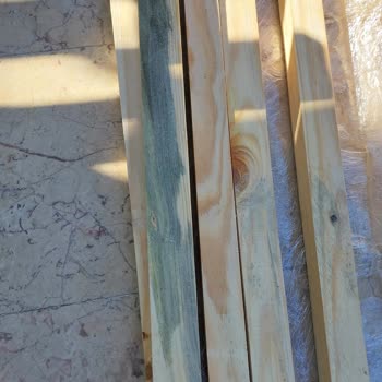 Küflü Ve Eğri Keresteler, İade Sürecinde Mağduriyet