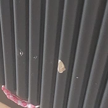 Türk Telekom Bağlantısı Sırasında Eşyalarım Zarar Gördü