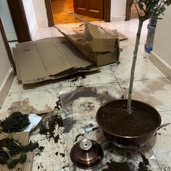 Kötü Teslimat Sonrası Özür Çiçeği De Hayal Kırıklığı Yarattı