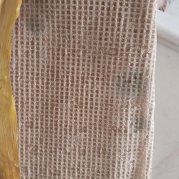 Asrın Tandırı Aldığım Paket Ekmeklerde Küf Sorunu Yaşadım!