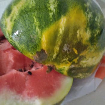 Gönderilen Karpuzun Bozuk Çıkması Ve İlgisizlik