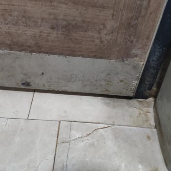 Yozgat Çapanoğlu Camii Yanındaki Lavabonun Bakımsızlığı Ve Çözüm İsteği