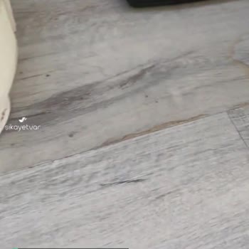 Roborock Marka Robot Süpürge Pişmanlıktır!
