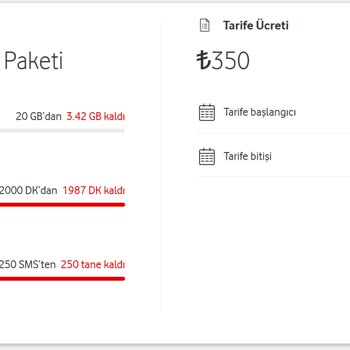 Yenilenen İnternet Paketim Bir Saatte Tükendi Kullanımda Anormallik Var