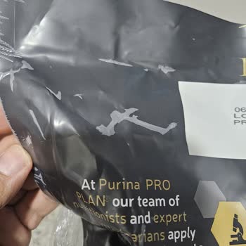 Sahte Kedi Maması Ve İade Sürecinde Yaşanan Sorun