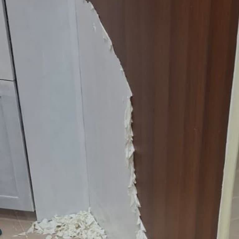 Polisan Aldığım Boya Kalitesiz Çıktı, Ücret İadesi Talep Ediyorum