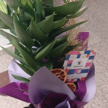 Siparişim Teslim Edilmedi, Para İadesi Yapılmadı Ve İletişim Engellendi