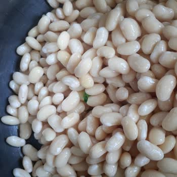 Kuru Fasulyeden Çıkan Cam Parçası Endişesi