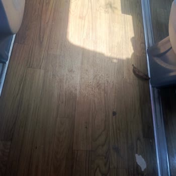 Yedek Otobüsün Hijyen Eksikliği Ve Çalışanların İlgisiz Tavrı Yolculuğu Mahvetti