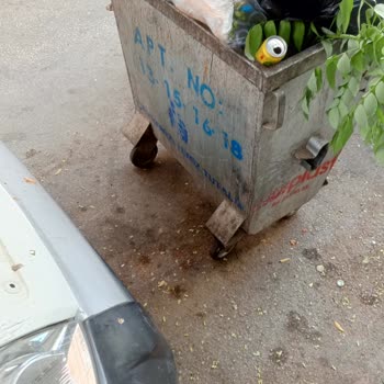 Çöp Konteynerinin Yanlış Yere Konulmasından Şikayetçiyim