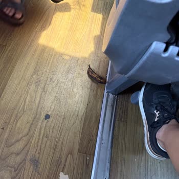 Pis Ve Klimaları Çalışmayan Otobüste Zorunlu Yolculuk Deneyimi