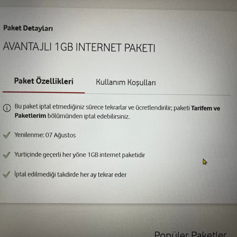 Ek İnternet Paketi Yüklendi Gözüküyor Ama Hatta Geçmedi