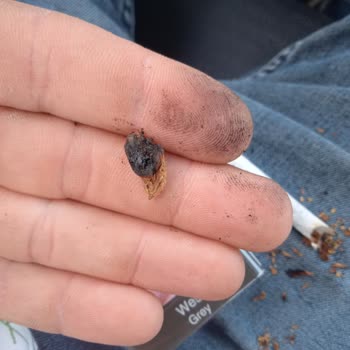 West Sigarada Sürekli Odun Parçası Sorunu Ve Yetersiz Çözüm